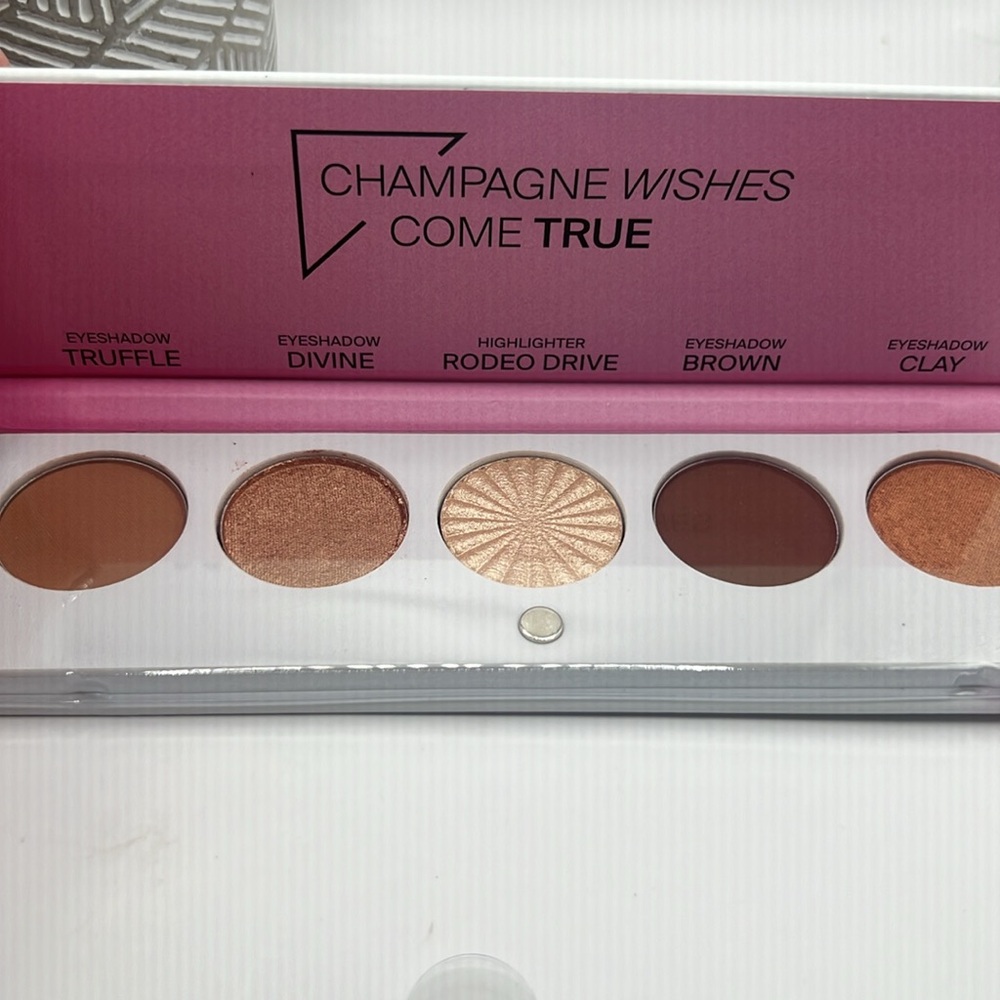 Ofra Champagne Wishes Come True Signature Luxe Eye Shadow Palette